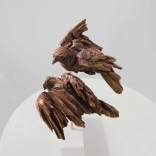 Two scultpted birds representing eros, captured from birds eye view, as seen in a Greek art gallery in Santorini, called Asimis